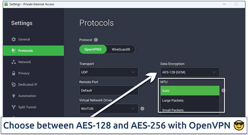 Screenshot showing the customization options on PIA's Settings menu